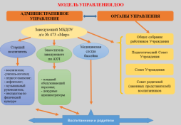 Структура управления ДОО